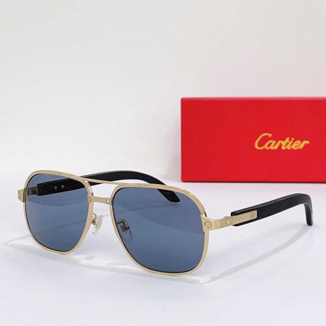Cartier CT0365 Aviator Sunglasses