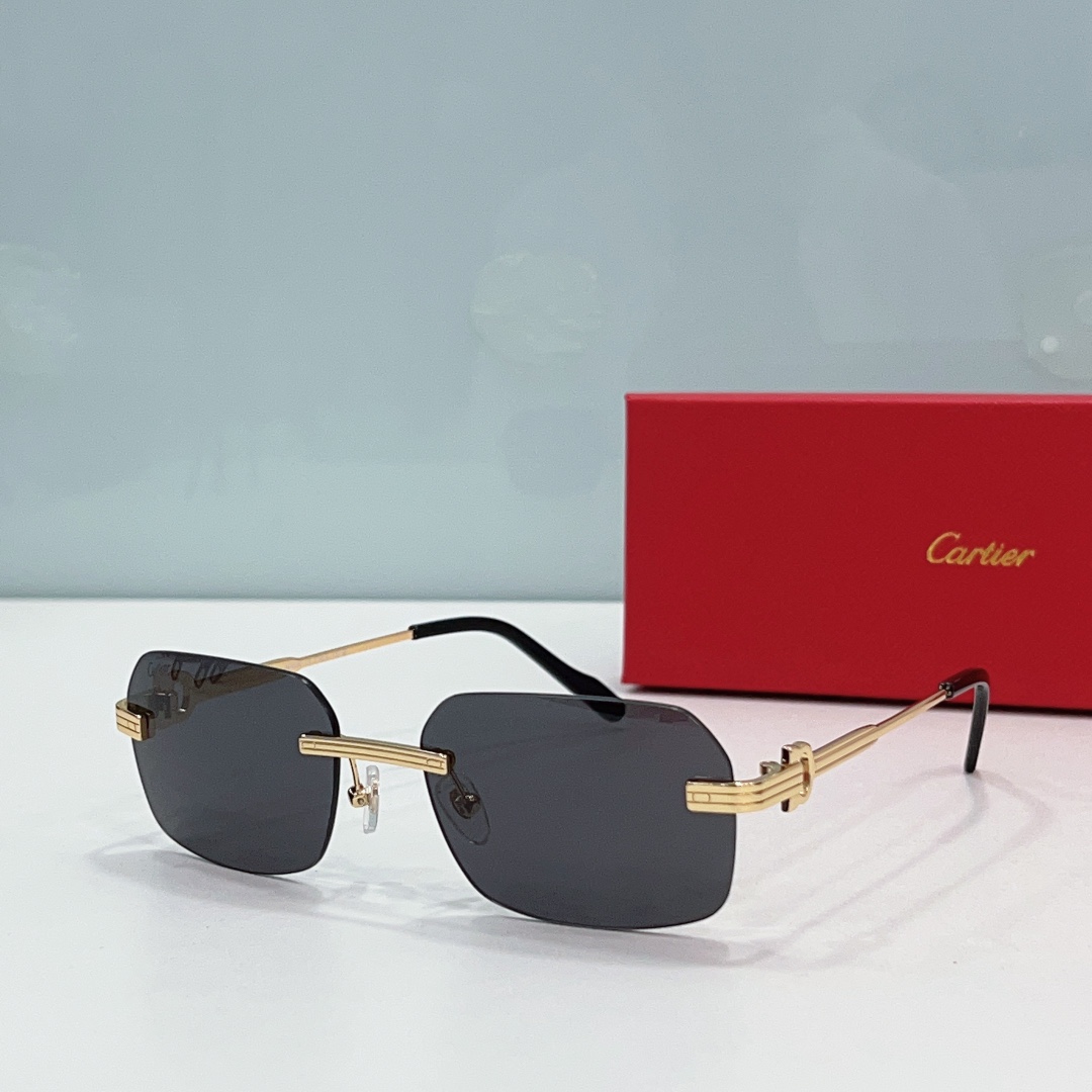 Cartier CT0271S Rimless Rectangular Sunglasses