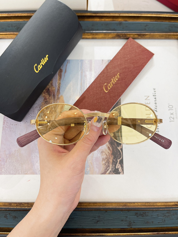 Cartier CT0274 Retro Chic Sunglasses