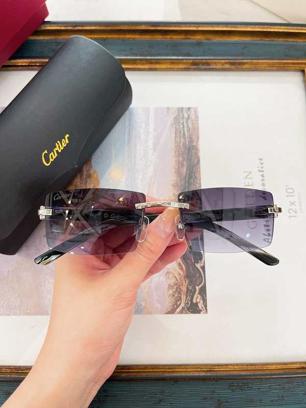 Cartier CT0272 Signature Rimless Sunglasses